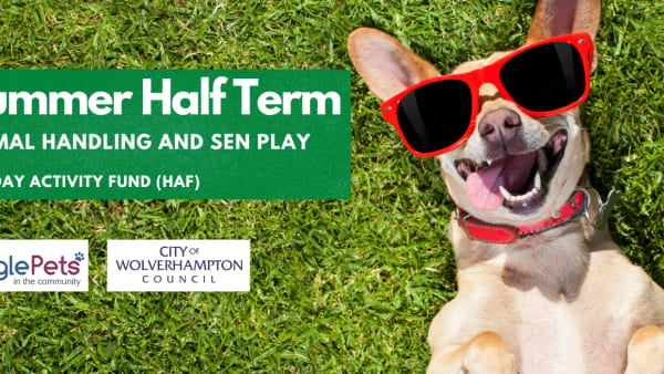 Summer Half Term - Wton HAF - 24/08/22 - 10.45am