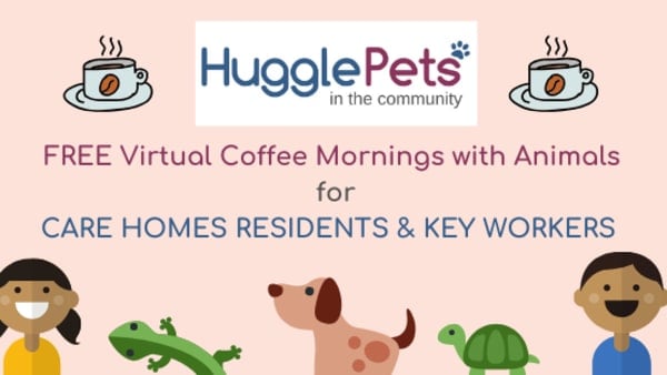 Virtual Coffee Mornings with Animals